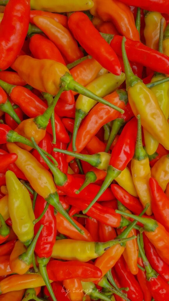 2d175abc0a9465c1517dbba5aef4df3d 2d175abc0a9465c1517dbba5aef4df3d