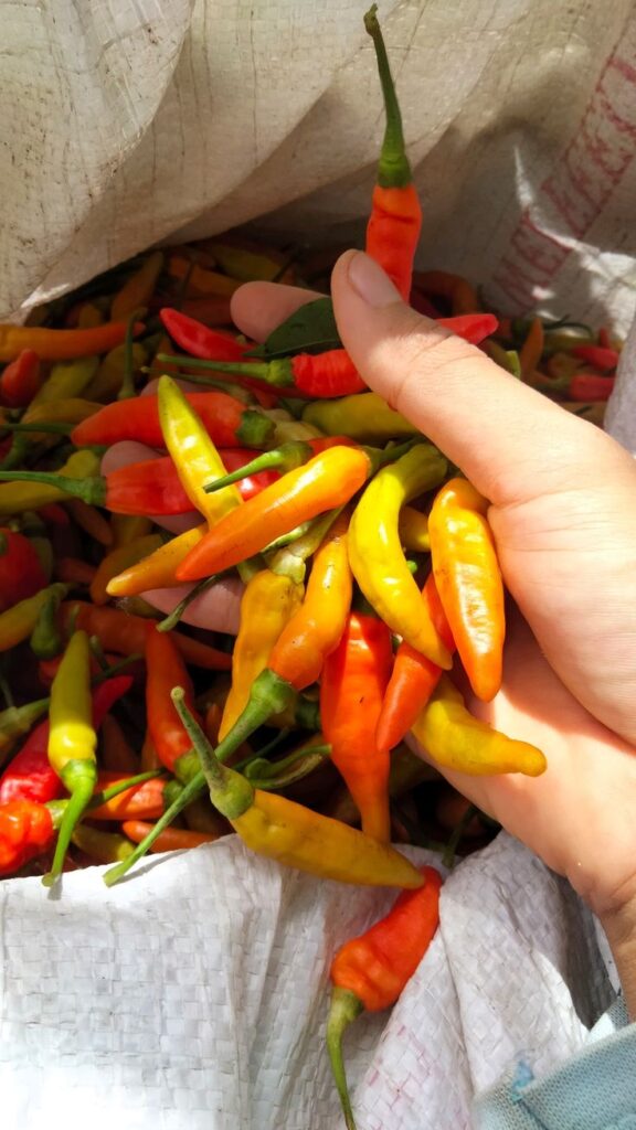 f0c4cfbb54c6ce2aea519a9ba589f6d1 f0c4cfbb54c6ce2aea519a9ba589f6d1